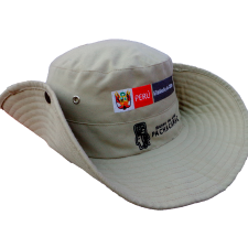 safari