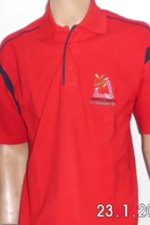 polo-1